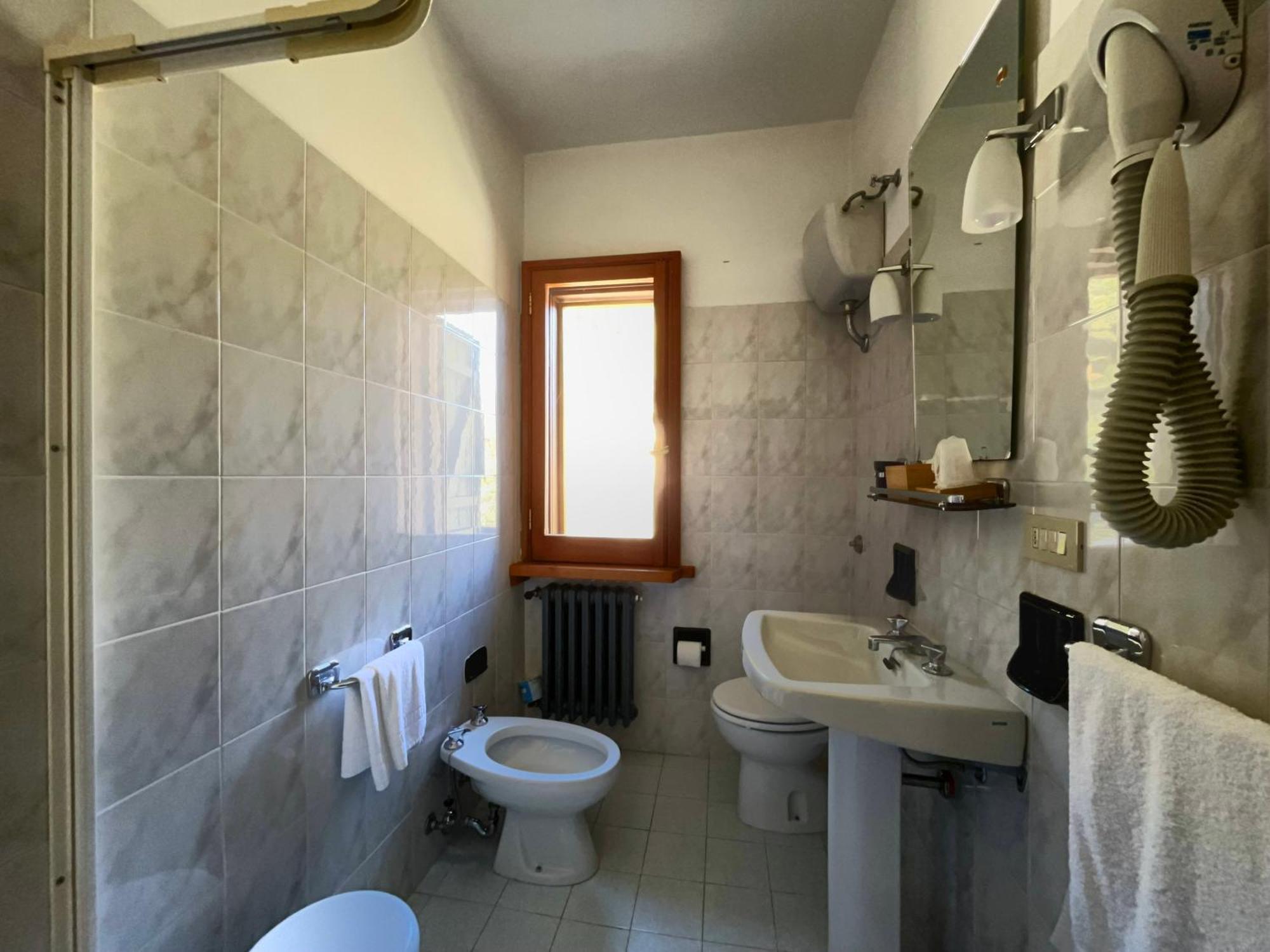 Hotel Garni Mille Pini スカンノ エクステリア 写真