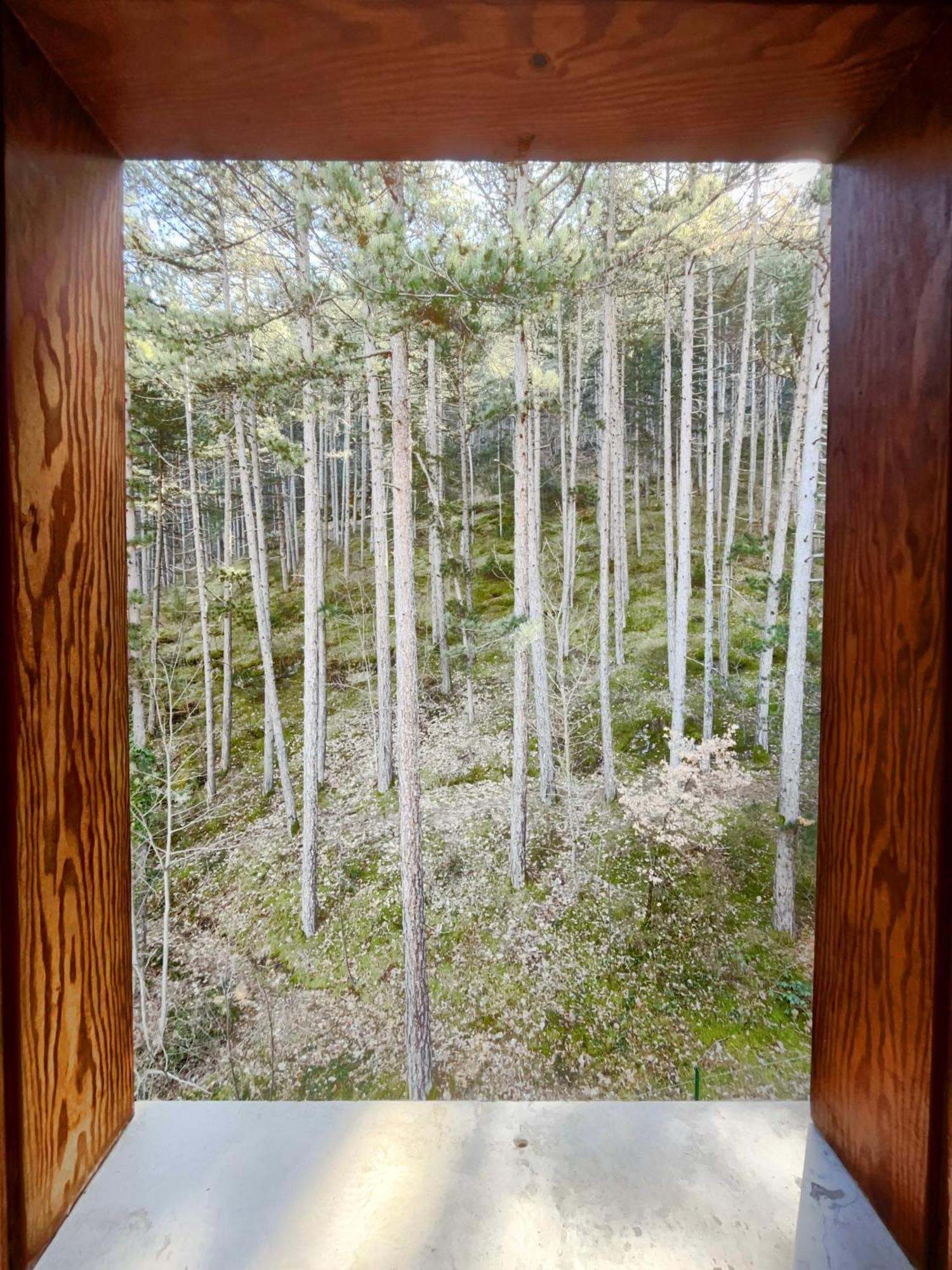 Hotel Garni Mille Pini スカンノ エクステリア 写真